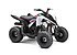 2019 Yamaha Raptor 90 for sale 200718316
